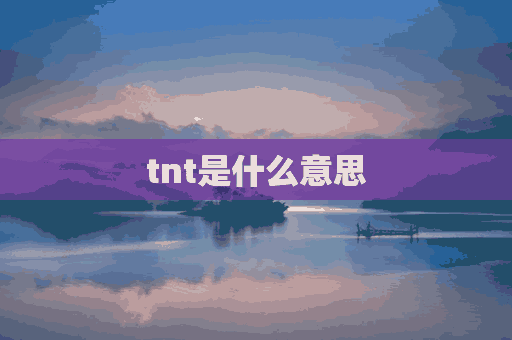 tnt是什么意思